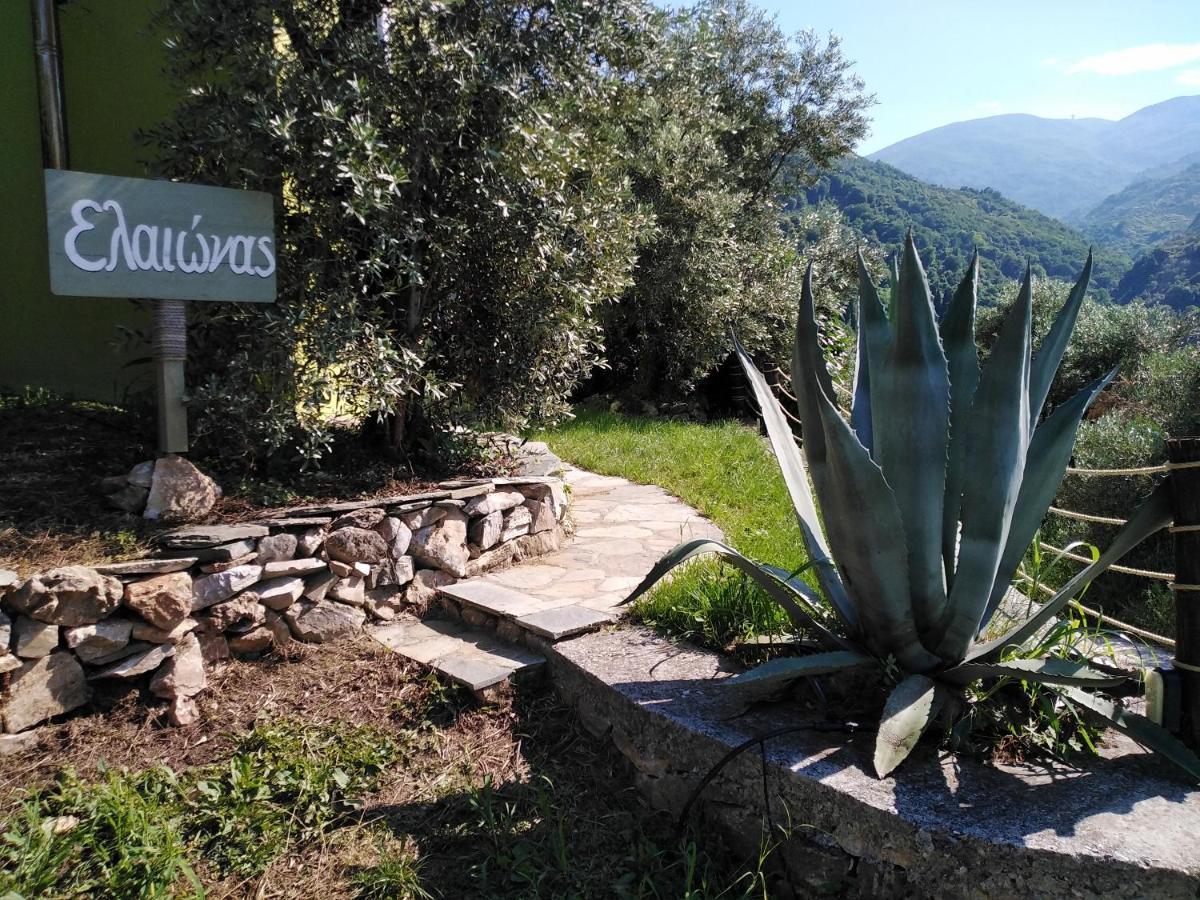 Villa Ελαιώνας - Solar Energy House Khorevtón Exterior foto